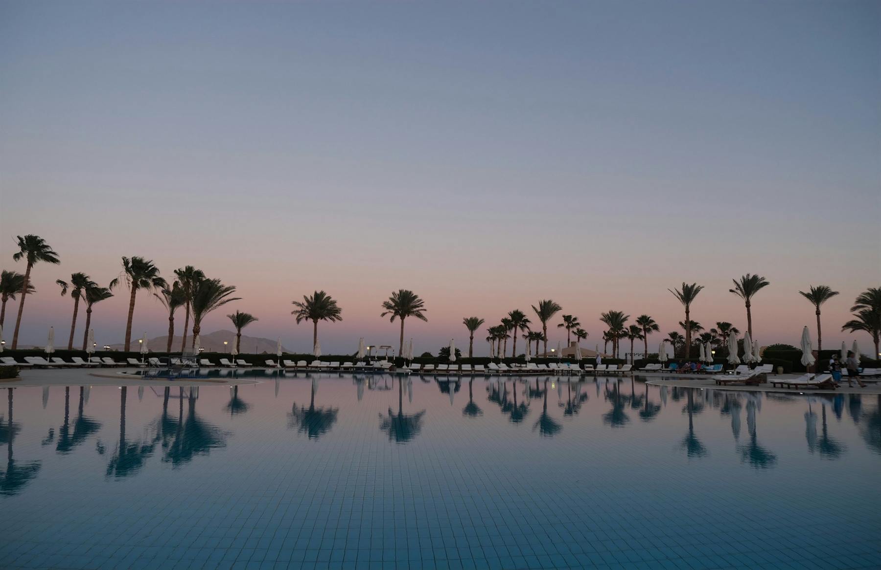 A still pool at dawn lined with palms
