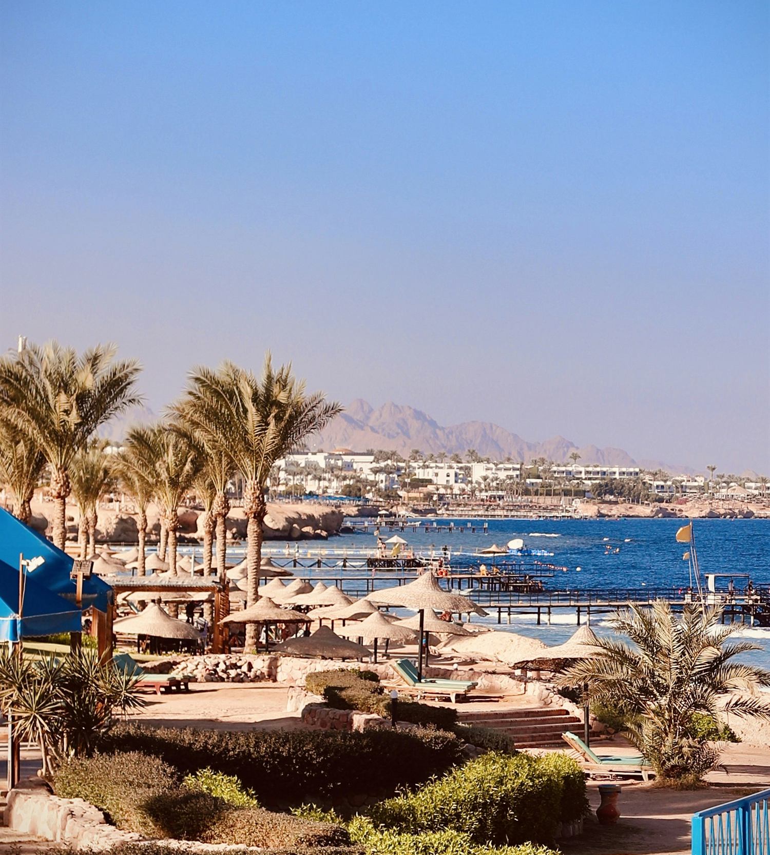 Palms and thatched parasols along the Red Sea, the Sinai mountains behind Sharm
