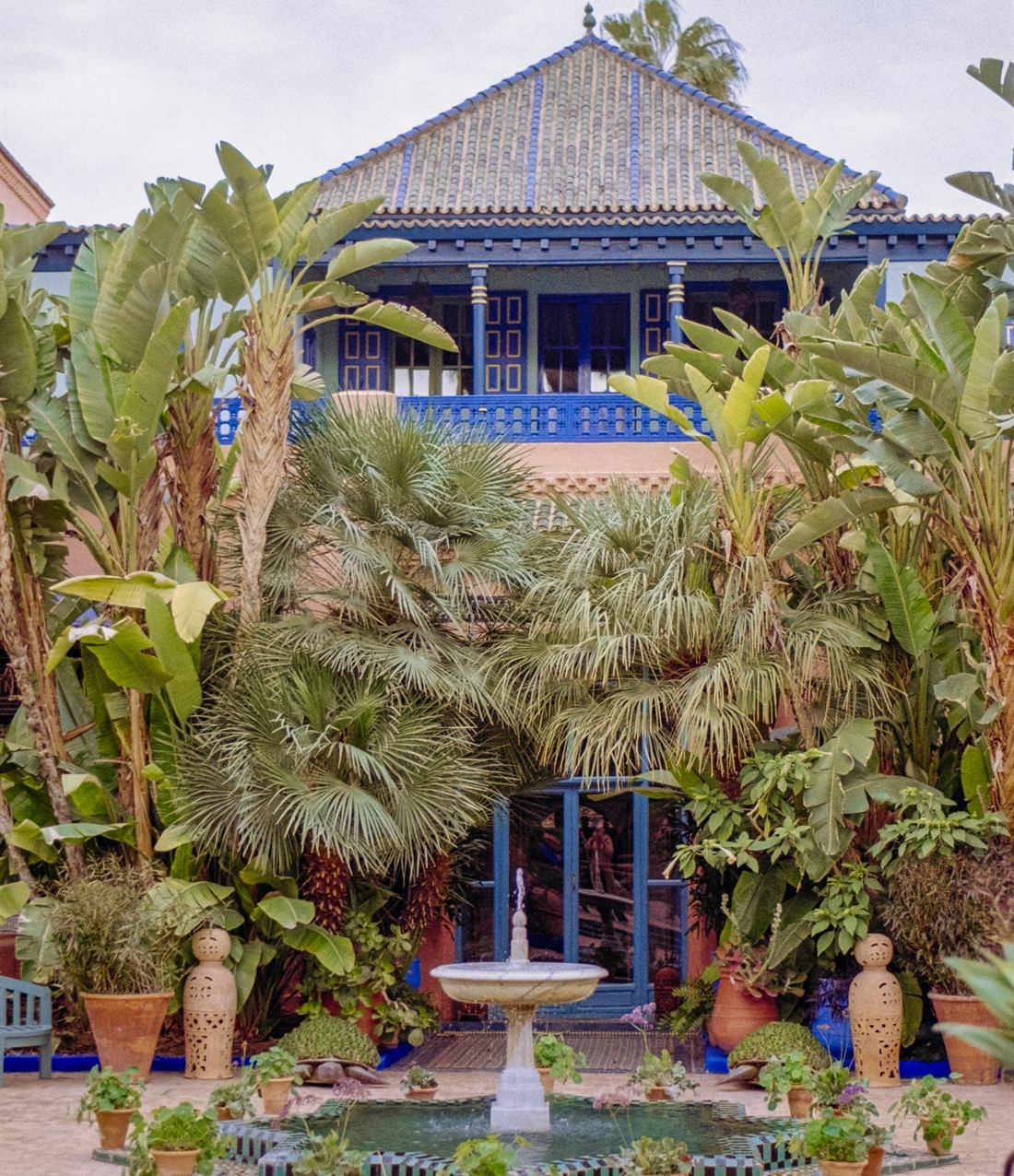 A cobalt-blue Moroccan pavilion behind palms and potted plants